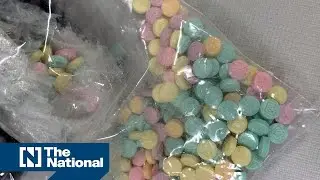 Inside America's fentanyl crisis