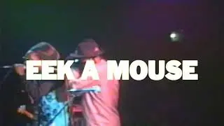 EEK A MOUSE INTRO LIVE SANTA CRUZ Ca 1995 p2