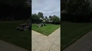 Love your lawn but hate the work? 🌱