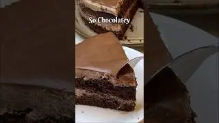 This Chocolate Cake Is So Moist It Almost Melts