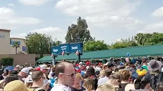 DISNEY CROWDS LIVE 🔴