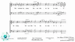 Ave Maria   TTBB+TTB trio Bass 1 Predominant   Franz Biebl   YouTube
