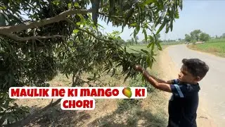 Maulik ne ki Mango 🥭 ki chori | Trip with family