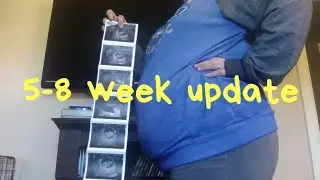 5-8 week pregnancy update + 9 week ultrasound | plus size pregnancy