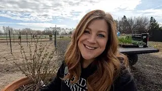 Planting Grapes, Onions & Cabbage (+ Honeyberry Update)! 🍇🧅🥬 // Garden Answer