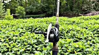 Summer Creek Fishing For Bass!!! Wet Wading, It&rsquo;s Hot!