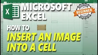 Microsoft Excel How To Insert An Image Into A Cell