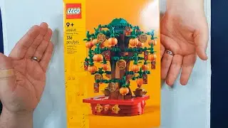 Building the Lego Set 40648: Money Tree