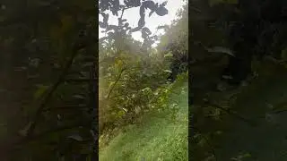 Btao ye kya h😯Beautiful farmfields 💚#farm #fields #beautifulindia #ytshorts #hakha #trendingshort