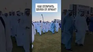 Как одеваются шейхи? 🇦🇪🌴