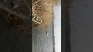 How to make a FEEDER BITE ALARM.