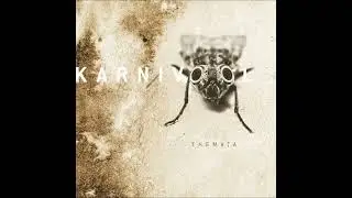Karnivool - Fear Of The Sky (Instrumental)