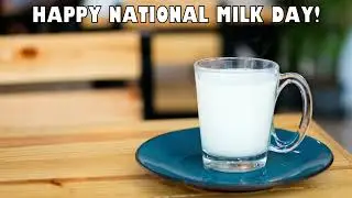 Happy National Milk Day From Hot Drink