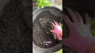 How to save and reuse compost&hellip;