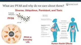 PFAS Contamination in Lake Michigan Tributaries and Fisheries