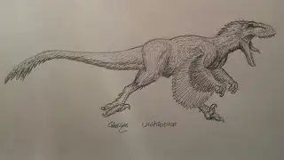 Как нарисовать Ютараптора часть 2