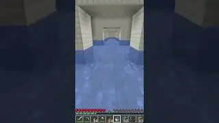 Minecraft #1247