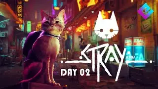 බාර් එකට යමු | Stray | Day 2