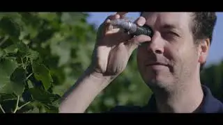 Weinbiet - Mensch | Herz | Berg
