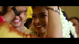 Beautiful Kerala Hindu Wedding Highlights / Maneesh & Aswani by Cinema Maxx Wedding