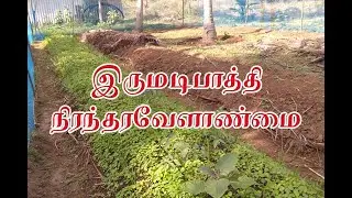 இருமடி பாத்தி - நிரந்தரவேளாண்மை / Double digging in Tamil / Permaculture