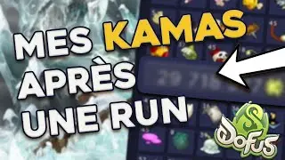 COMBIEN DE KAMAS EXACTEMENT AVEC UNE RUN SUCC&Egrave;S ?