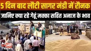 Sagar - 5 दिन बाद खुली कृषि मंडी में अनाज की बंपर आवक, जानिए क्या रहे मक्का गेहूं सोयाबीन के भाव