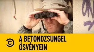Kártyások 💳 | A Betondzsungel Ösvényein