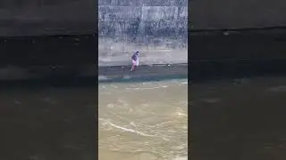 Net casting #net fish