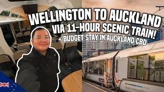 NEW ZEALAND&rsquo;S MOST POPULAR TRAIN: WELLINGTON TO AUCKLAND 🇳🇿 | Ivan de Guzman