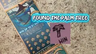 Winning with the palm tree symbol on Florida Lottery&rsquo;s guy Harvey big bills scratch off tickets ￼