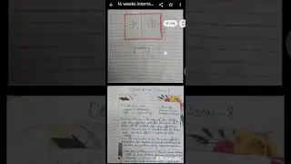 Tp file lesson plans b.ed kurukshetra University Internship file #lesson plans