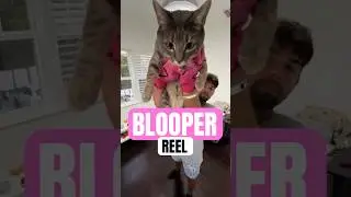 Heard y&rsquo;all wanted bloopers🤪 #funny #funnyvideo #comedy #cat #catvideos #dance #dancer #shorts #fyp