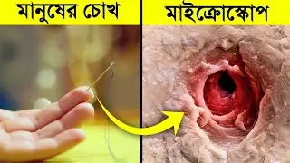আমরা যা চোখে দেখি না তা মাইক্রোস্কোপে দেখতে কেমন লাগে | 10 Amazing view under microscope