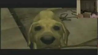 Rule of Rose - adorable dog