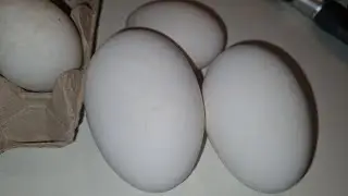 GOOSE EGG AND DUCK EGG RECIPE