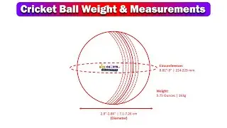 Cricket Ball Measurement & Weight Illustration