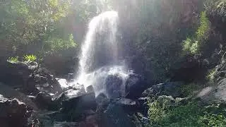 Queenslands Hidden Gems - Must do hikes in Gold Coast and Brisbane