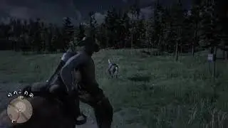 Need a hand with your horse? | Red Dead Redemption 2