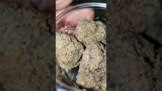 GOYARD STRAIN Paris og x Tangimal Cookies
