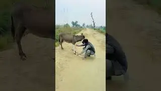 #pakistani comedy #funny prank 👉😀👈