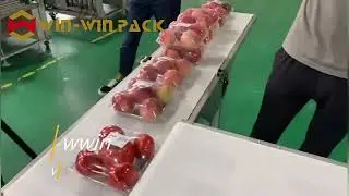 WIN WIN-PACK Made in China Factory Ex-Factory Price Automatic Food Packaging Machine