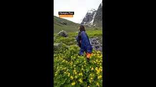 Hampta Pass Trek Without a Guide (DIY) #Manali #Himalayas