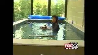 Endless Pools Hydrotherapy for Dogs, Pets