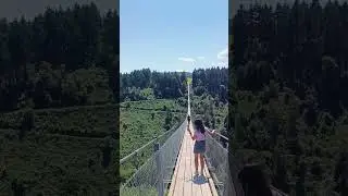 Geierlay Suspension Bridge Подвесной мост в Германии #shorts #germany #bridge #travel #life #love