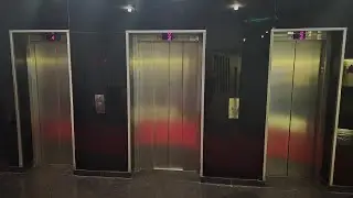 M-series from 2009! Epic and efficient Schindler elevators at Hotel Vega, Mamaia, Constanța, RO