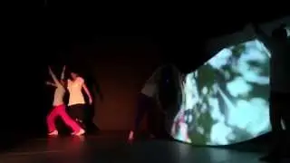 Bates Dance Festival - Professional Training Program Promo