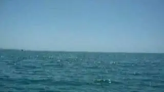 DSCF0334