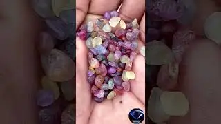 Sapphire Lot 💎 🔥 #gemstone #gems #stone