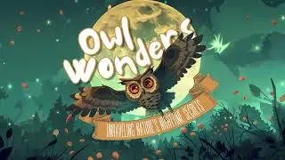 Owl Wonders  Unraveling Nature's Nighttime Secrets